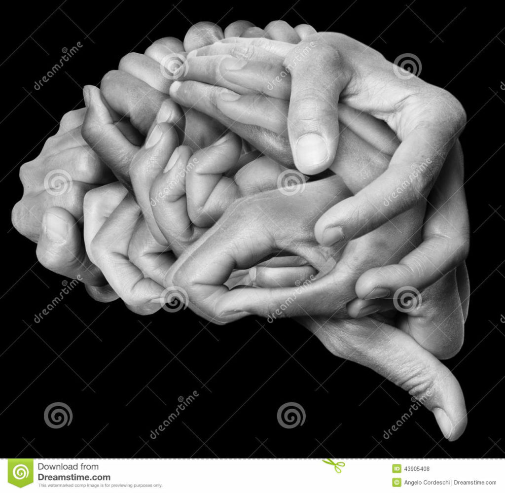 Human brain made with hands. A human brain made with hands, different hands are wrapped together to form a brain.
