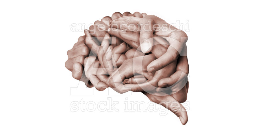 Brain Hands Made With Hands Colors Stock Images Snippet Facebook