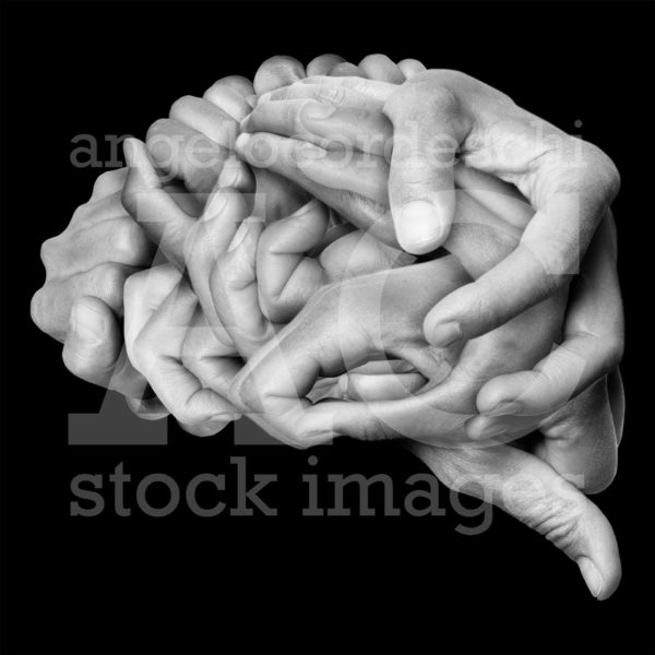 Brain Hands Stock Images