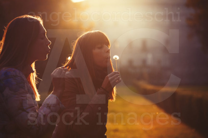 Two Young Women Taking And Blowing A Dandelion Flower Warm Lighting And Intense Sunset