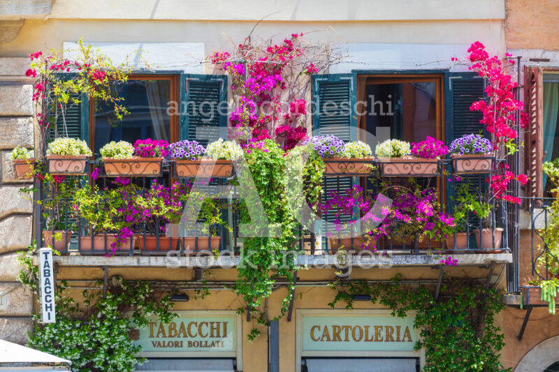 Balcony with flowers and plants in the historic center of Rome in Italy. - Angelo Cordeschi