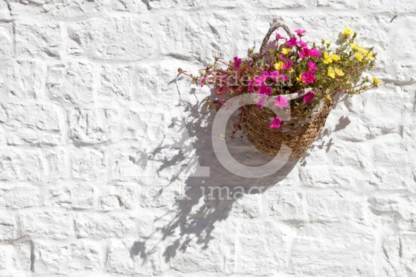 Basket With Flowers Hanging On A Wall White Light. A Basket Insi Angelo Cordeschi