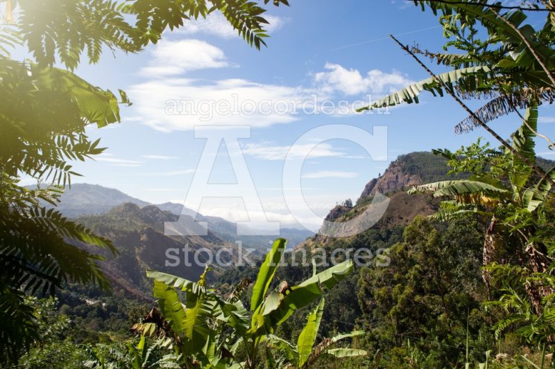 Beautiful tropical scenery and clear mountain views. Blue sky. - Angelo Cordeschi
