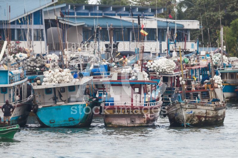 Boats Fishing In The Famous Fish Maket Harbor Of Negombo In Sri Angelo Cordeschi