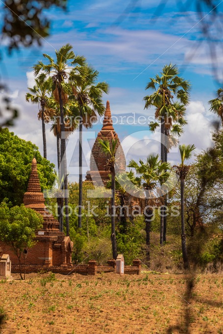 Buddhist pagoda temple. Bagan, Myanmar. Home of the largest and - Angelo Cordeschi