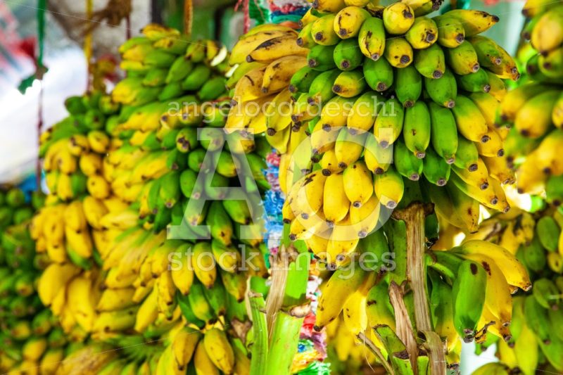 Bunch of bananas on sale at the street. Sri Lanka. - Angelo Cordeschi