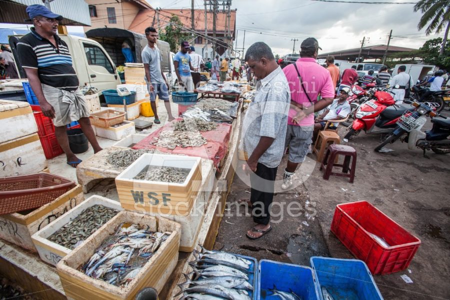 Fish Street Market Of Negombo In Sri Lanka. Angelo Cordeschi