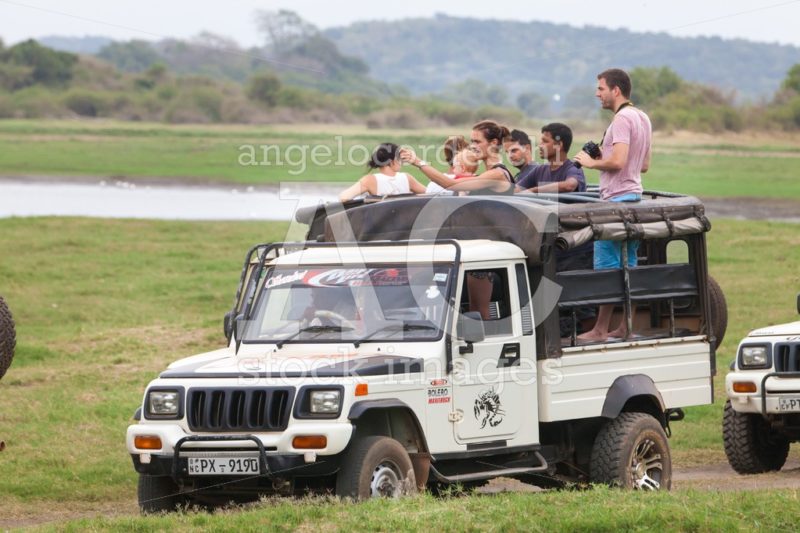 Jeep With Tourists At The The Minneriya Natural Park In Sri Lank Angelo Cordeschi