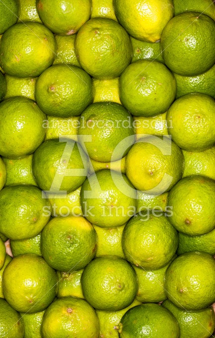Lemons Regular Ordered Pile Background. Macro. Yellow And Green. Angelo Cordeschi