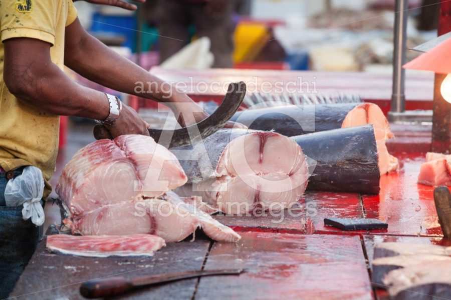 Man Chopping Fish In A Open Market. Negombo, Sri Lanka. Angelo Cordeschi