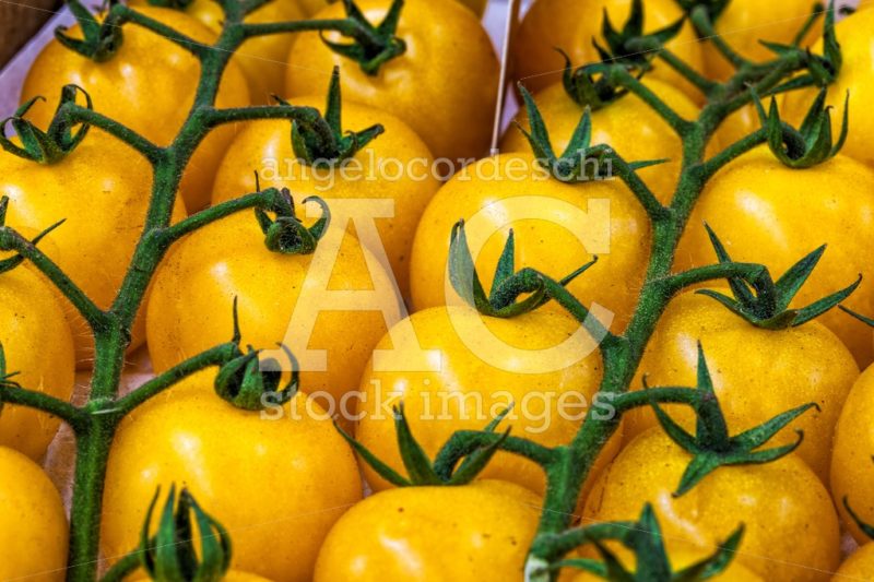 Pachino Tomatoes Yellow, Tomato Of Pachino Background. Macro. Fr Angelo Cordeschi