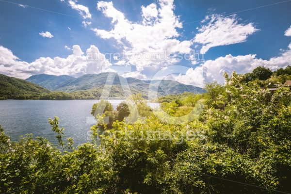 Panorama Of A Lake With Green Vegetation Around. Natural Basin W Angelo Cordeschi