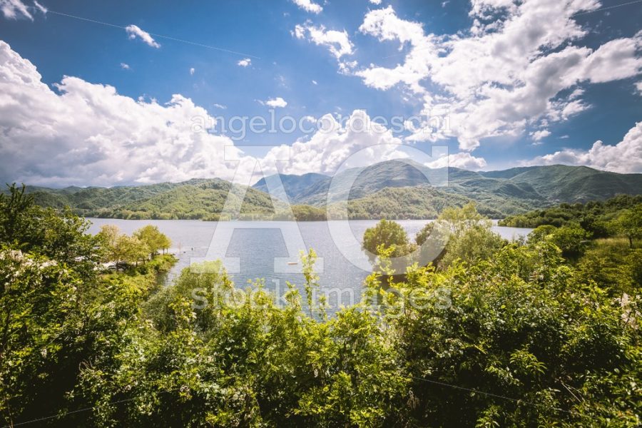 Panorama Of A Lake With Green Vegetation Around. Natural Basin W Angelo Cordeschi