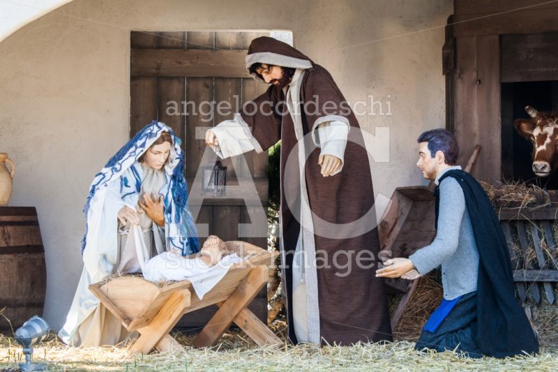 Representation of nativity Christmas tradition in Saint Peter sq - Angelo Cordeschi