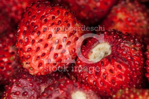 Strawberries Background. Close Up Macro. Strawberries. Whole Bac Angelo Cordeschi
