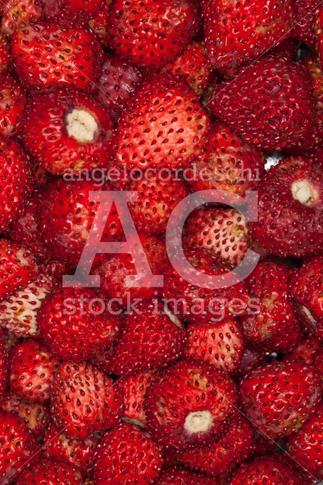 Strawberries Background. Foreground Close Up Macro. Strawberries Angelo Cordeschi
