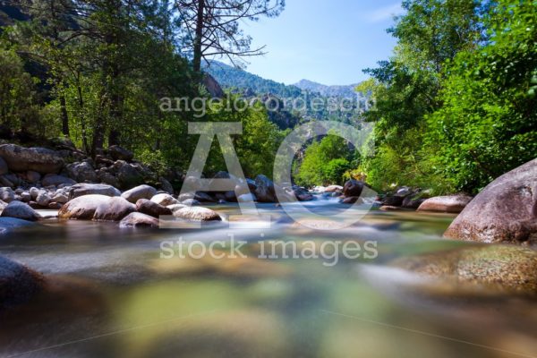 Stream With Rocks In A Natural Scenic Landscape. Surrounded By N Angelo Cordeschi