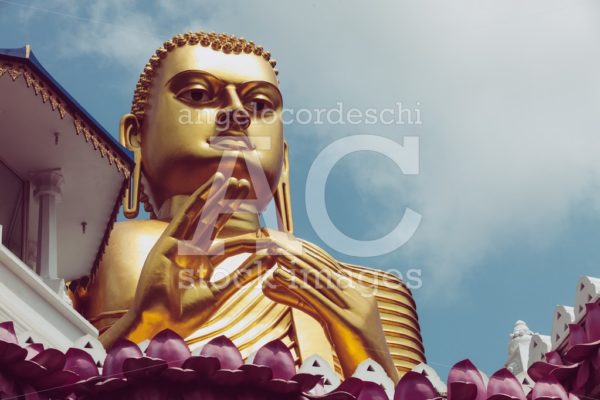 The Golden Buddha statue, Dambulla in Sri Lanka. - Angelo Cordeschi