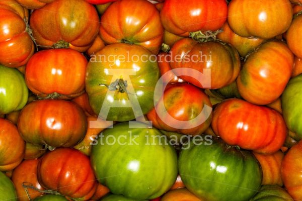 Tomatoes Ox Heart Background. A Background Made Up Of Many Fresh Angelo Cordeschi