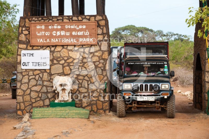 Truck with tourists in the entrance of National safari park in S - Angelo Cordeschi