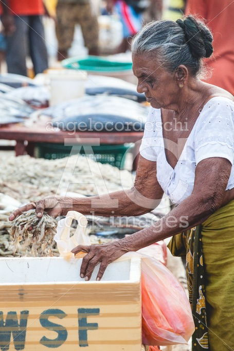 Woman Fish Street Vendor In The Fish Market In Negombo, Sri Lank Angelo Cordeschi