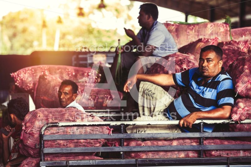 Worker men resting on a truck in te vegetables market in Sri Lan - Angelo Cordeschi
